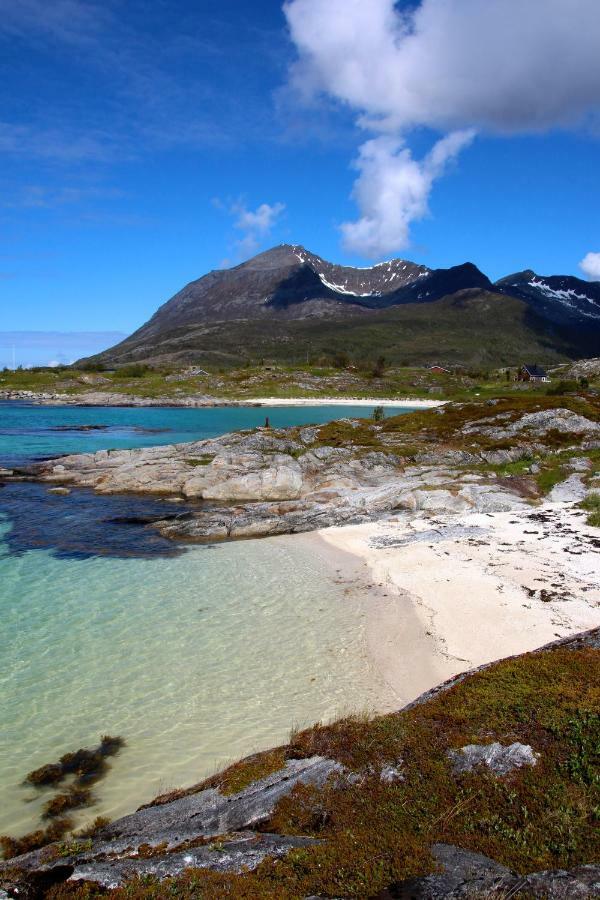 Lodge Superior With Sea View In Senja