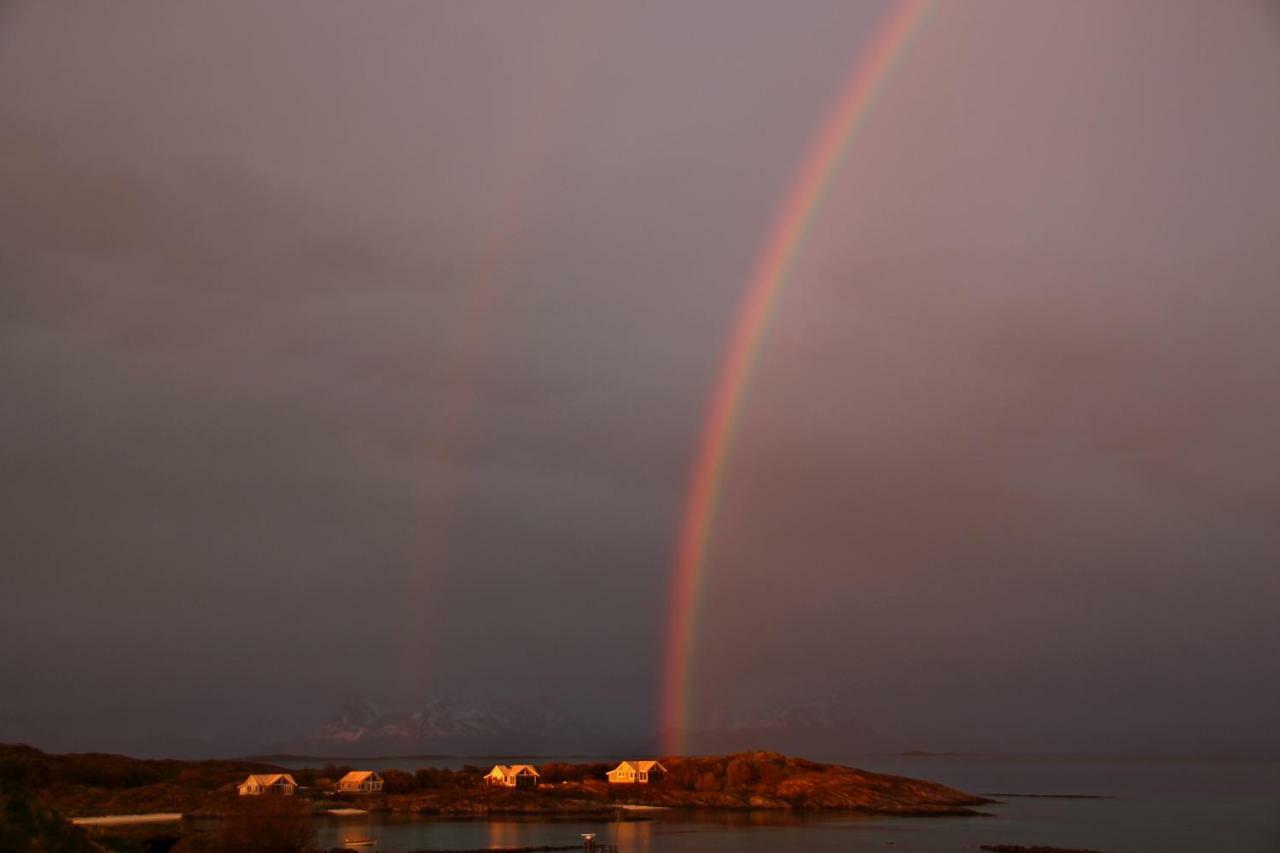 Superior With Sea View In Senja Lodge