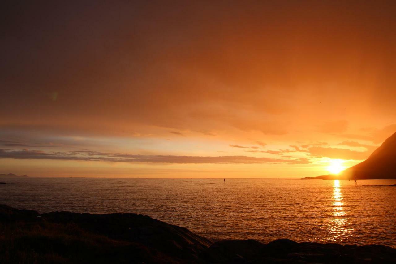 Superior With Sea View In Senja