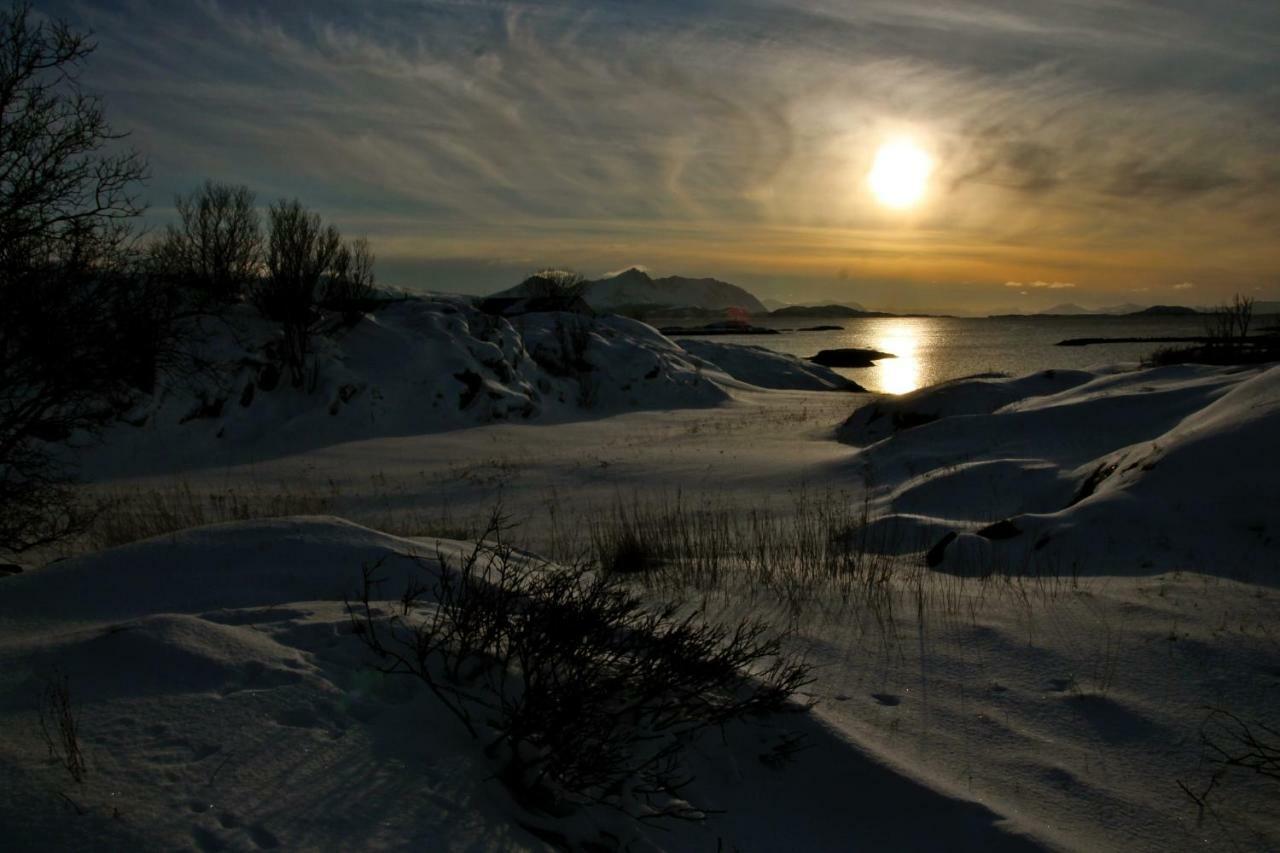 Superior With Sea View In Senja
