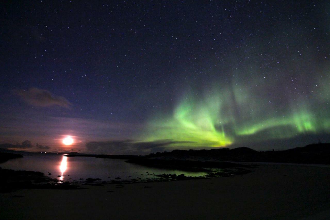 Lodge Superior With Sea View In Senja Senjehesten
