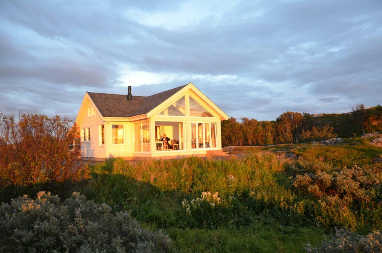 Superior With Sea View In Senja * Senjehesten
