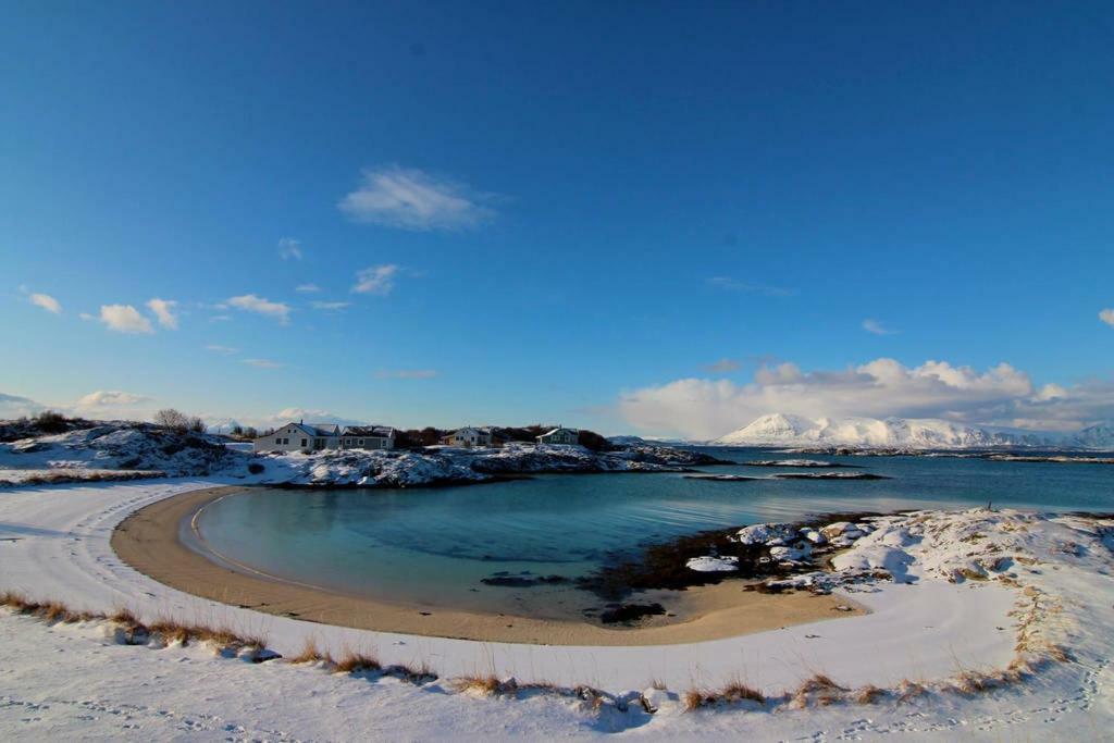 Superior With Sea View In Senja Lodge