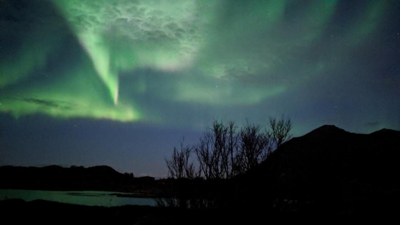 Superior With Sea View In Senja
