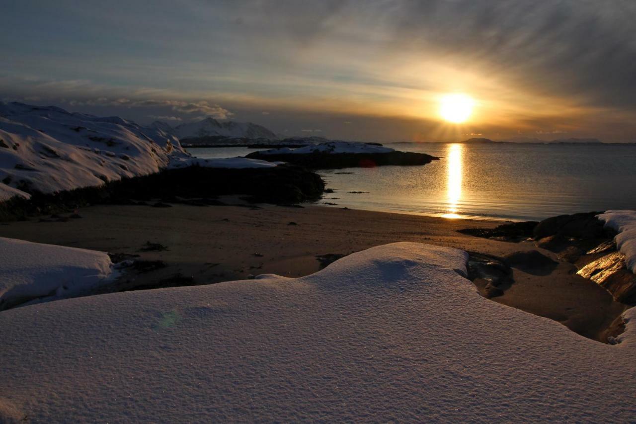 Superior With Sea View In Senja Jaktstuga *