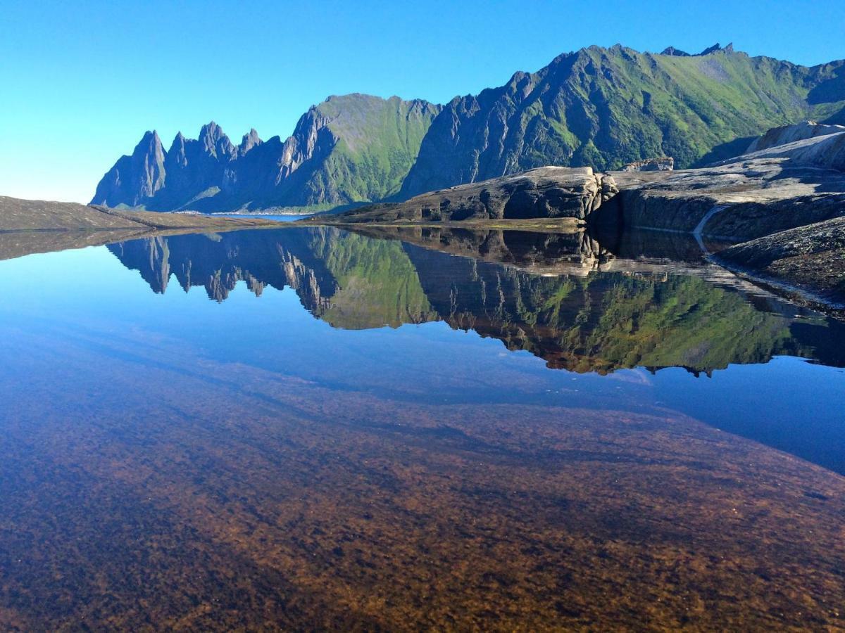 Superior With Sea View In Senja Jaktstuga Senjehesten